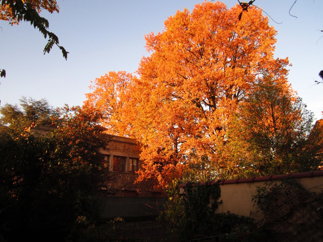 Aulnay Toussaint 2017