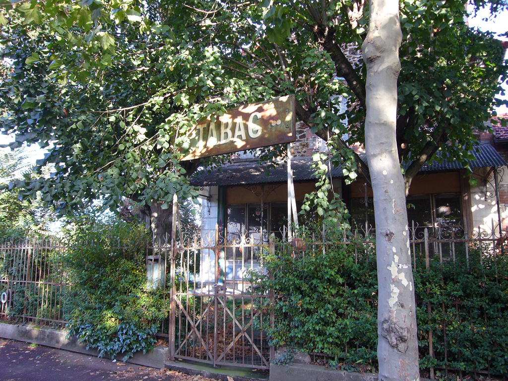 2220847747_0266324317_b